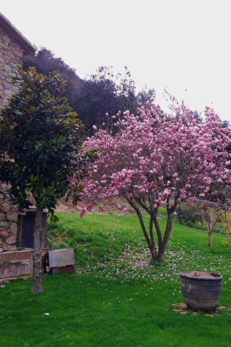 Masia espectacular amb molt terreny i totes les comoditats de la natura